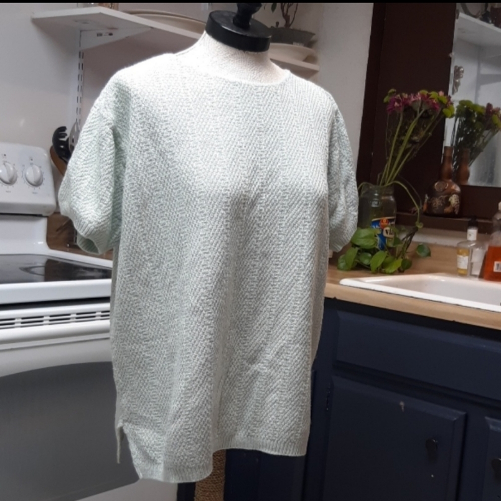 Womens Knit sweater blouse Jaclyn Smith Light Sage Spring Neutral B30
